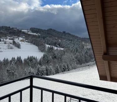 Wisla Apartamento | Apartamenty Spacerowa 33
