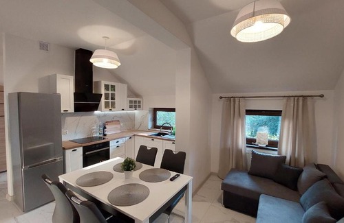 Spytkowice Apartamento | Apartamenty Starowiejska 39, Ryczów - 10km od Zator Energylandia