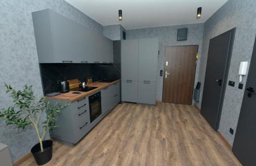 West Pomeranian Voivodeship Apartamento | Apartamenty Studio Nova 1 Nad Odrą Szczecin