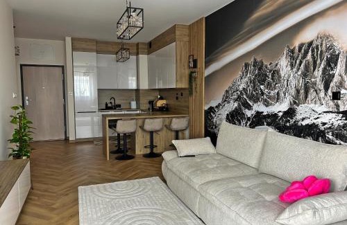 Uniejow Apartamento | Apartamenty Termal Water Długa 35