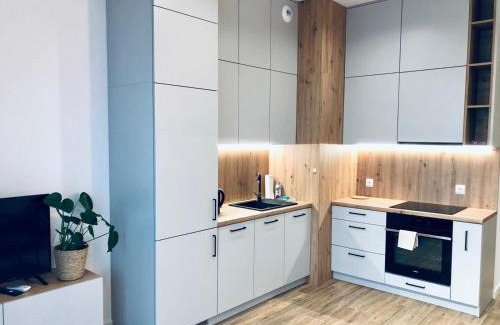 Radom Apartamento | ApartamentySnu, Struga Tower Deep Purple