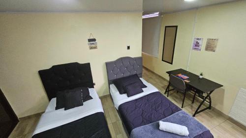 Campin Cama Y Desayuno | Apartasuite Movistar Campin