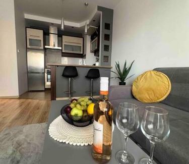 Torun Apartamento | ApartBroniewskiego