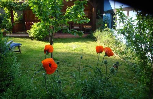 Bischwiller Apartamento | Apartement de vacances Alsace - Ferienwohnung Elsaß - Holiday apartment Alsace