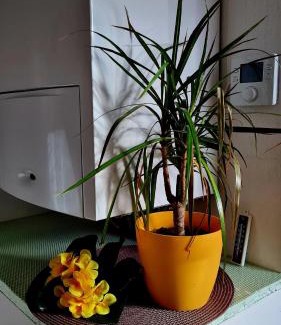 Nordhausen Apartamento | Apartement *Harzblick*