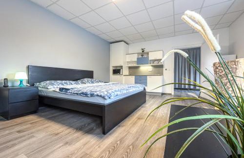 Chomutov Apartamento | Aparthotel DKS
