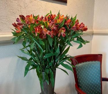 Kazimierz Hotel | Aparthotel Karmel