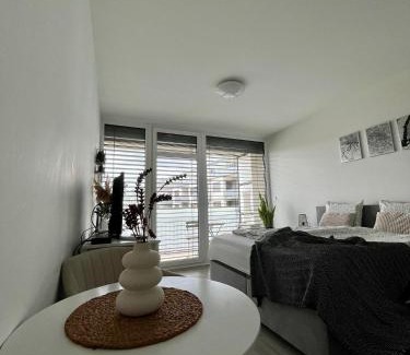 Olomouc Apartamento | Apartmán Šantovka