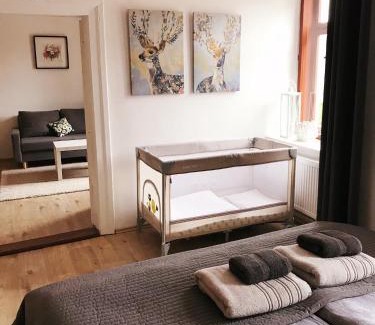Jihlava Apartamento | Apartmán 2KK Sauna and Aromatherapy