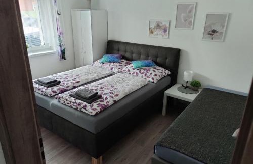 Vrchlabi Apartamento | Apartmán Anamo