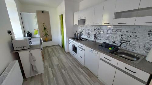 Nove Mesto nad Metuji Apartamento | Apartmán Budín - v klidu přírody, s parkováním