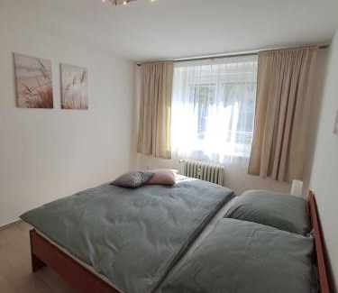 Pardubice Apartamento | Apartmán Dukla