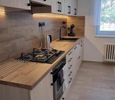 Pardubice Apartamento | Apartmán Dukla