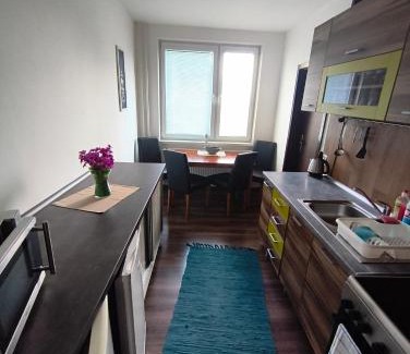 Stara Tura Apartamento | Apartmán Eli