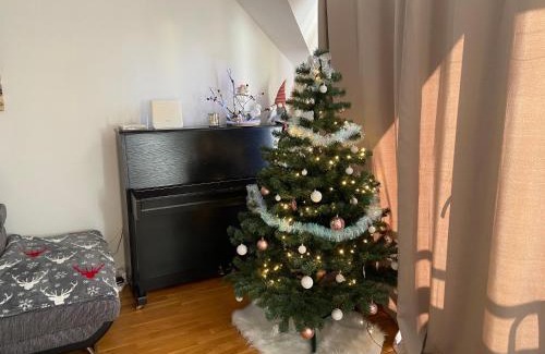 Tatranska Lomnica Apartamento | Apartmán Juli