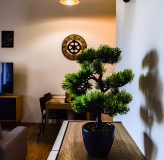 Pavcina Lehota Apartamento | Apartmán Leo