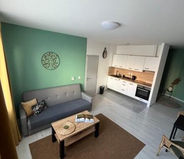 Tabor Apartamento | Apartmán Na Dukelské s garáží