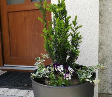 Luhacovice Apartamento | Apartmán na výsluní