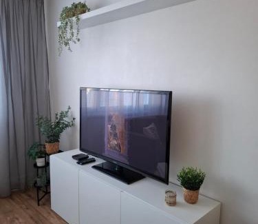 Sasova Apartamento | Apartmán OLI Banská Bystrica