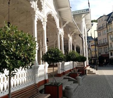 Karlovy Vary Apartamento | Apartmán Orchidej u Vřídla