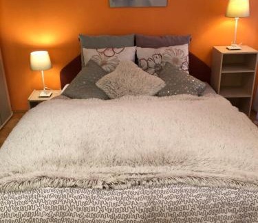 Karlovy Vary Apartamento | Apartmán Orchidej u Vřídla