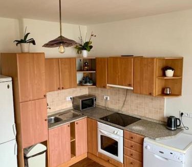 Zdar Nad Sazavou Apartamento | Apartmán POD LAMPOU