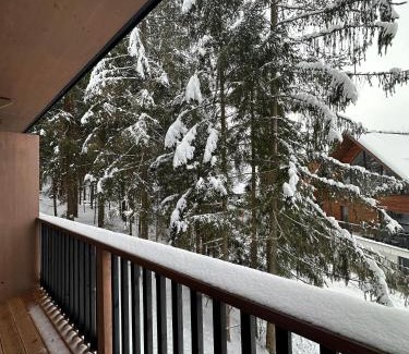 Demanovska Dolina Apartamento | Apartmán Pod Smrekom Demänovská Dolina