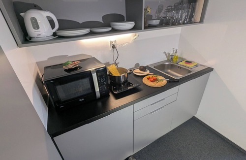 Tatranska Lomnica Apartamento | Apartmán pri horskom potoku