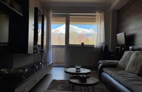 Velky Slavkov Apartamento | Apartmán s nádherným výhľadom na Tatry