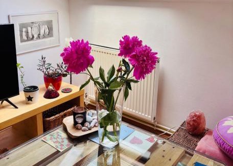 Jablonec nad Nisou Apartamento | Apartmán Stella