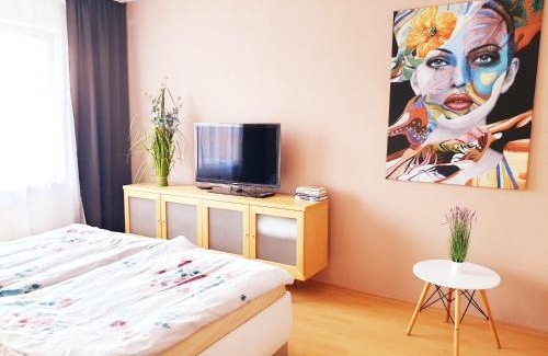 Banska Bystrica Apartamento | Apartmán Terminál, self check-in 24 h, free parking
