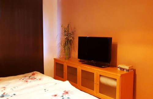 Banska Bystrica Apartamento | Apartmán Terminál, self check-in 24 h, free parking