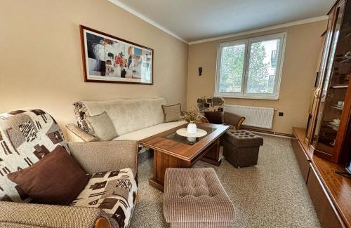 Frymburk Apartamento | Apartmán u Náměstí