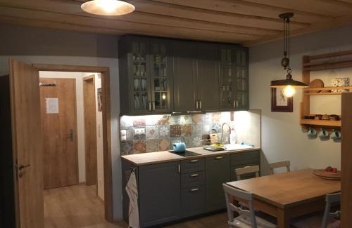 Dolni Morava Apartamento | Apartmán u svahu Dolní Morava