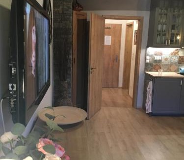 Dolni Morava Apartamento | Apartmán u svahu Dolní Morava