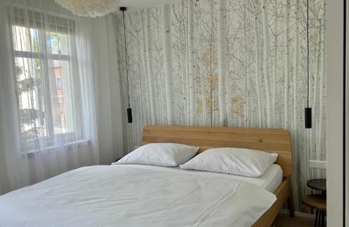 Horni Blatna Apartamento | Apartmán U Zlaté břízy Krušné hory - Erzgebirge
