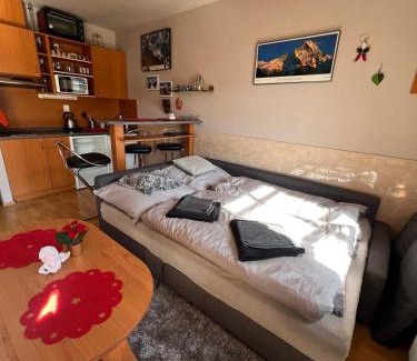 Ricky v Orlickych horach Apartamento | Apartmán v Srdci hor - Říčky v Orlických horách