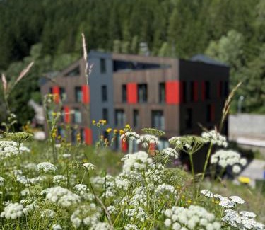 Pec pod Snezkou Apartamento | Apartmán Vlčice Residence 107, Pec pod Sněžkou