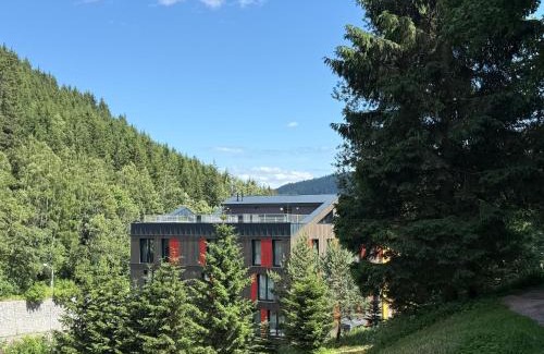 Pec pod Snezkou Apartamento | Apartmán Vlčice Residence 107, Pec pod Sněžkou