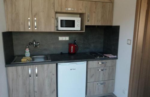 Ceske Budejovice 7 Apartamento | Apartmán Vyhlídka