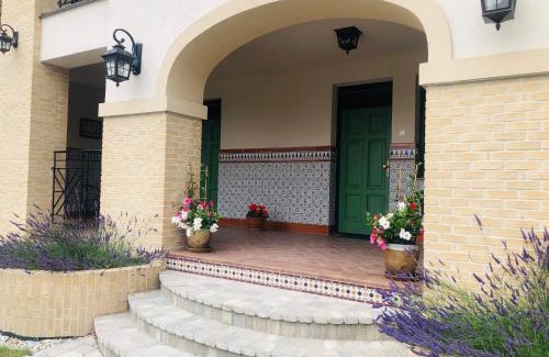 Velky Meder Apartamento | Apartmánový dom Andalusia