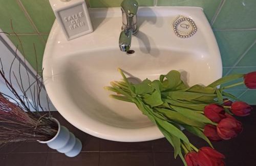 Nove Hrady Apartamento | Apartmány Žiaková - ubytování Nové Hrady 111