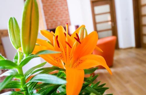 Sec Apartamento | Apartmány 13 Přízemí 1