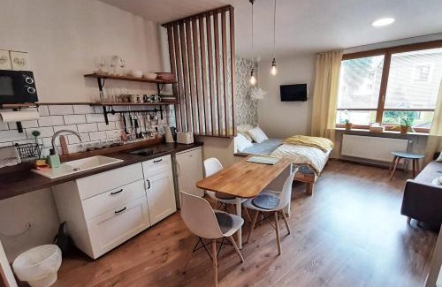 Vrbno pod Pradedem Apartamento | Apartmány AMADE Jeseníky