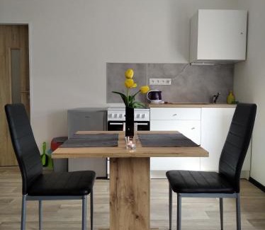 Dalovice Apartamento | Apartmány Borská