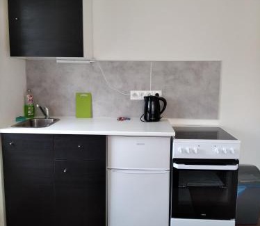Dalovice Apartamento | Apartmány Borská