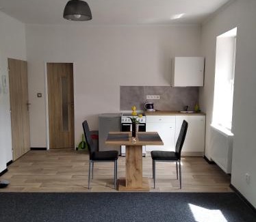 Dalovice Apartamento | Apartmány Borská