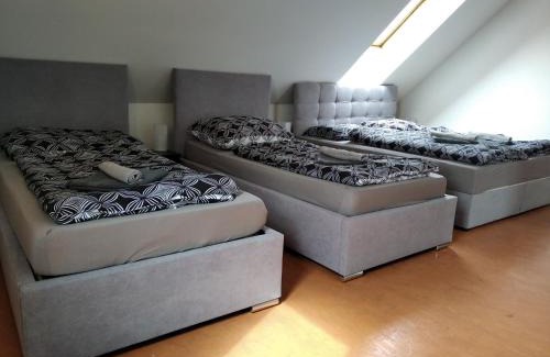 Dalovice Apartamento | Apartmány Borská