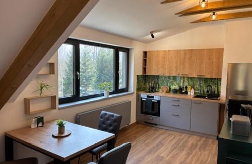 Lesna Apartamento | Apartmány Camping Český les