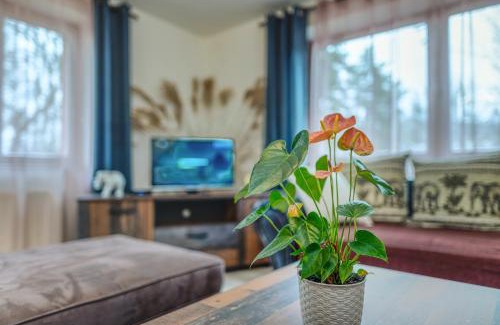 Levoca Apartamento | Apartmány Kašper
